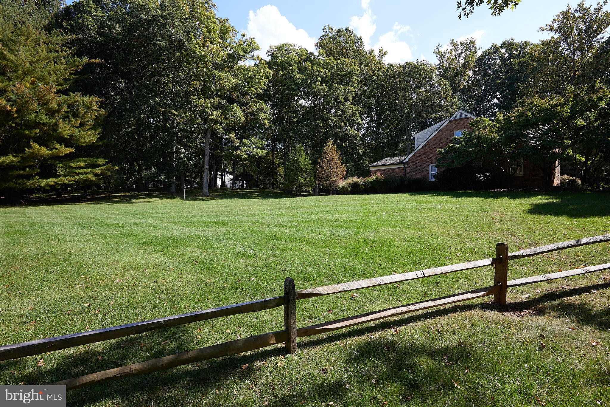 8710 Belmart Road Potomac, MD 20854 - Photo 53 of 56 Side yard (an understatement)