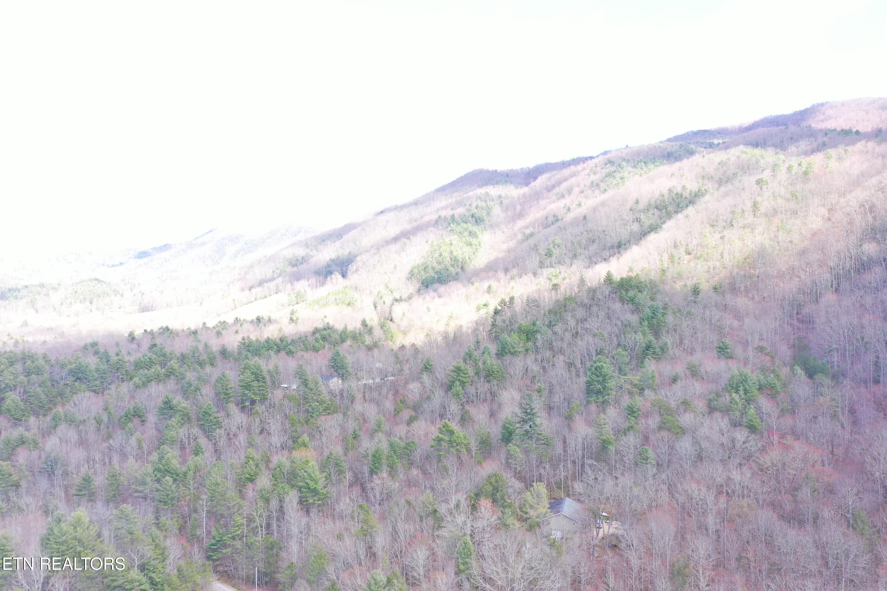 Round Mountain Del Rio, TN 37727 - Photo 13 of 18 DJI_0238
