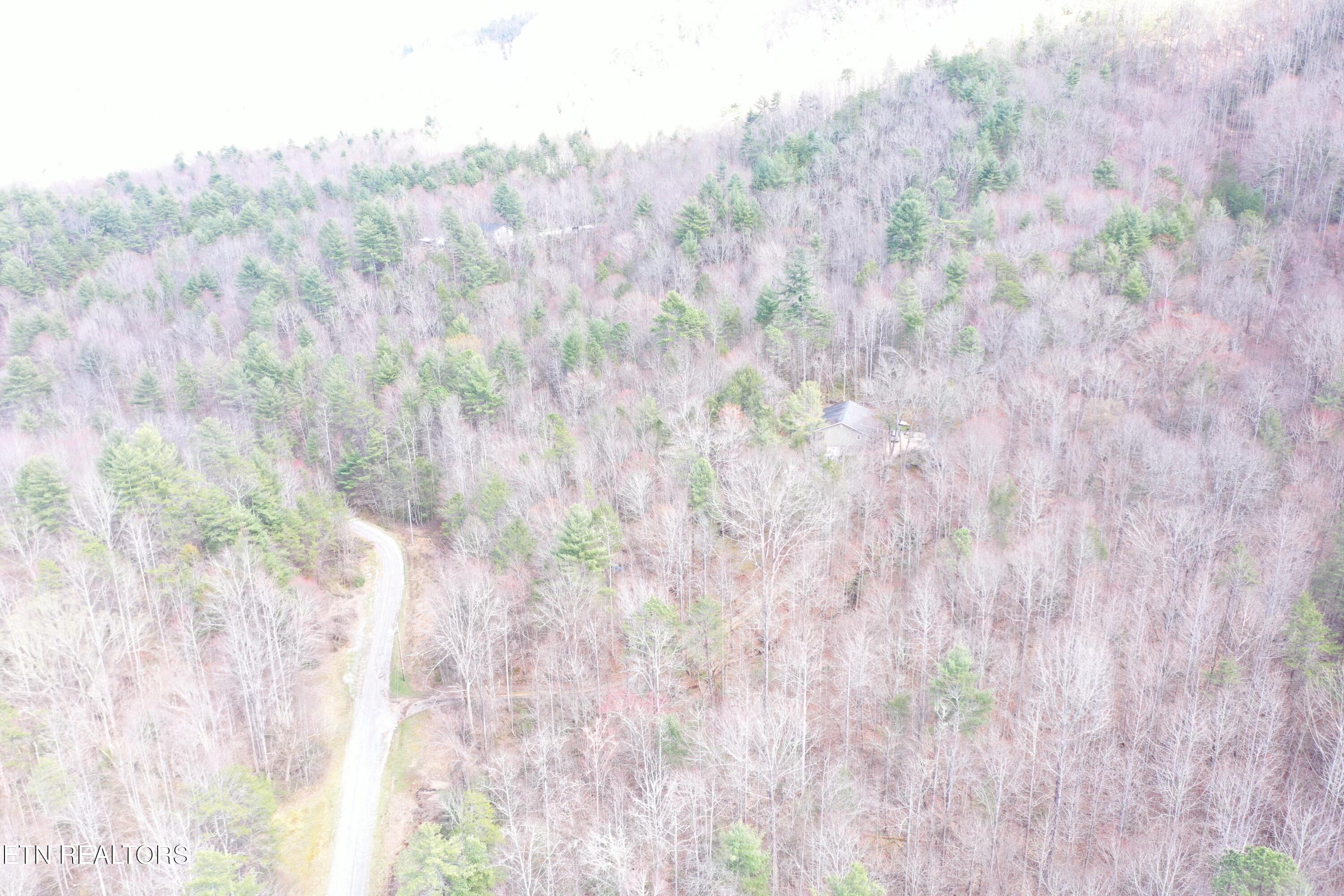 Round Mountain Del Rio, TN 37727 - Photo 14 of 18 DJI_0239