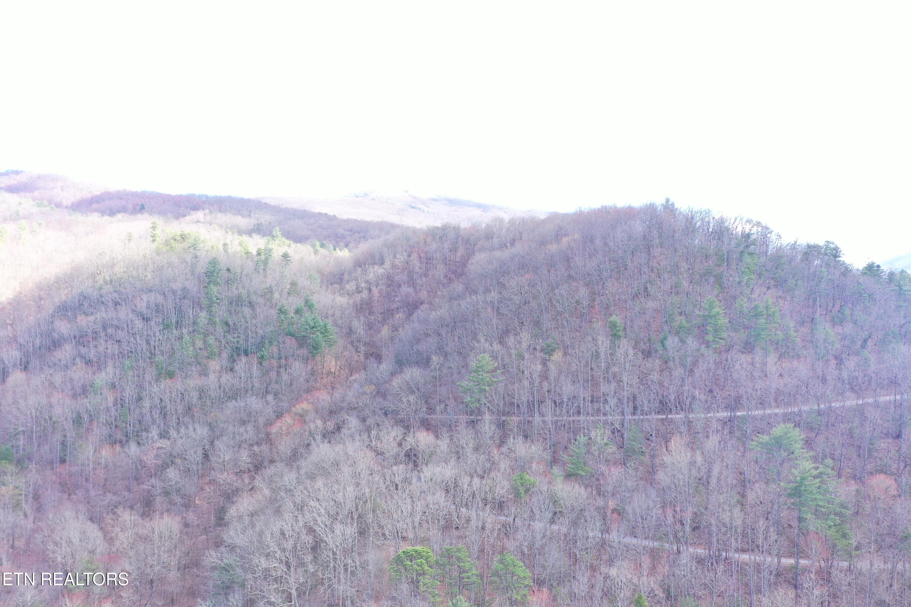 Round Mountain Del Rio, TN 37727 - Photo 15 of 18 DJI_0240