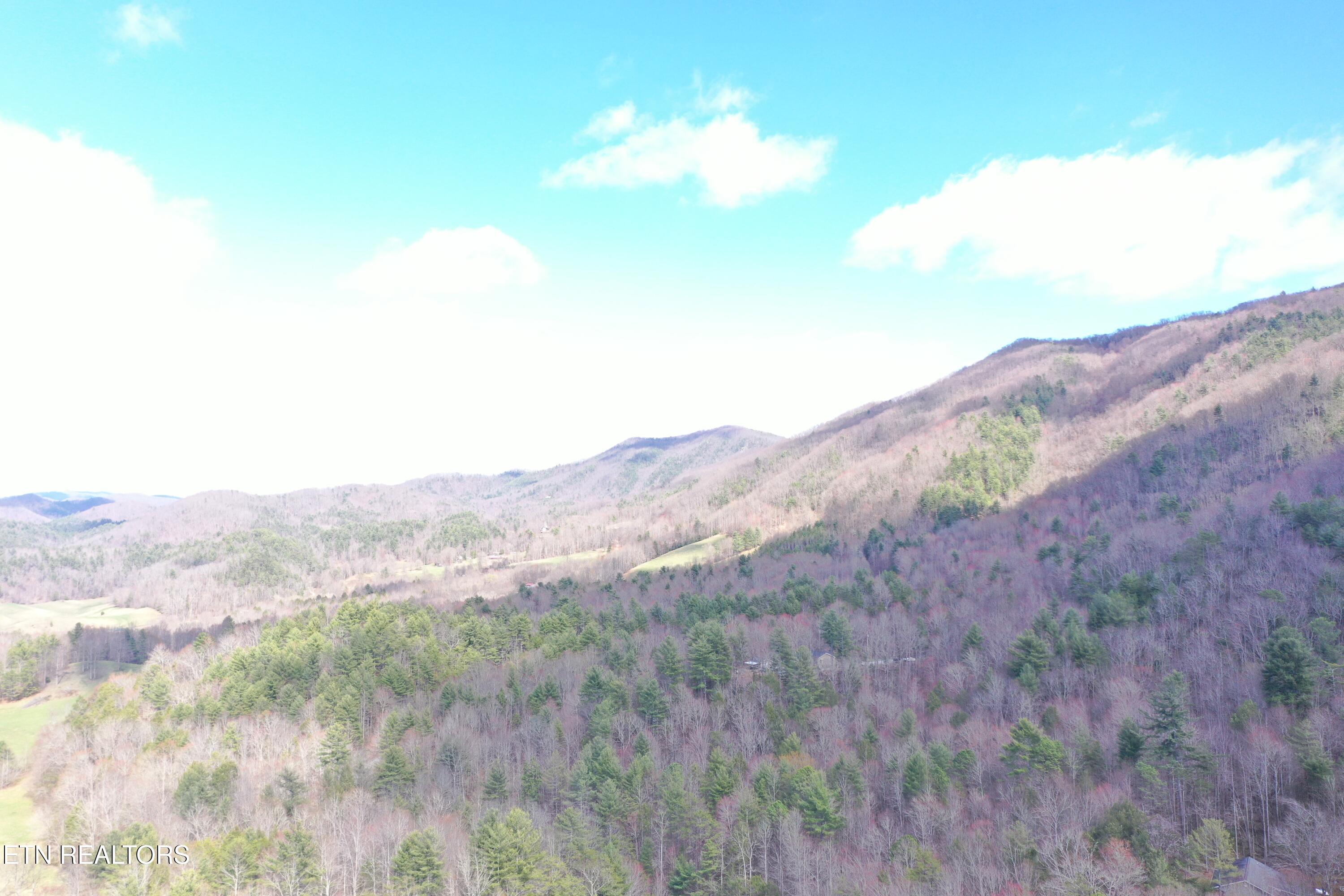 Round Mountain Del Rio, TN 37727 - Photo 16 of 18 DJI_0241