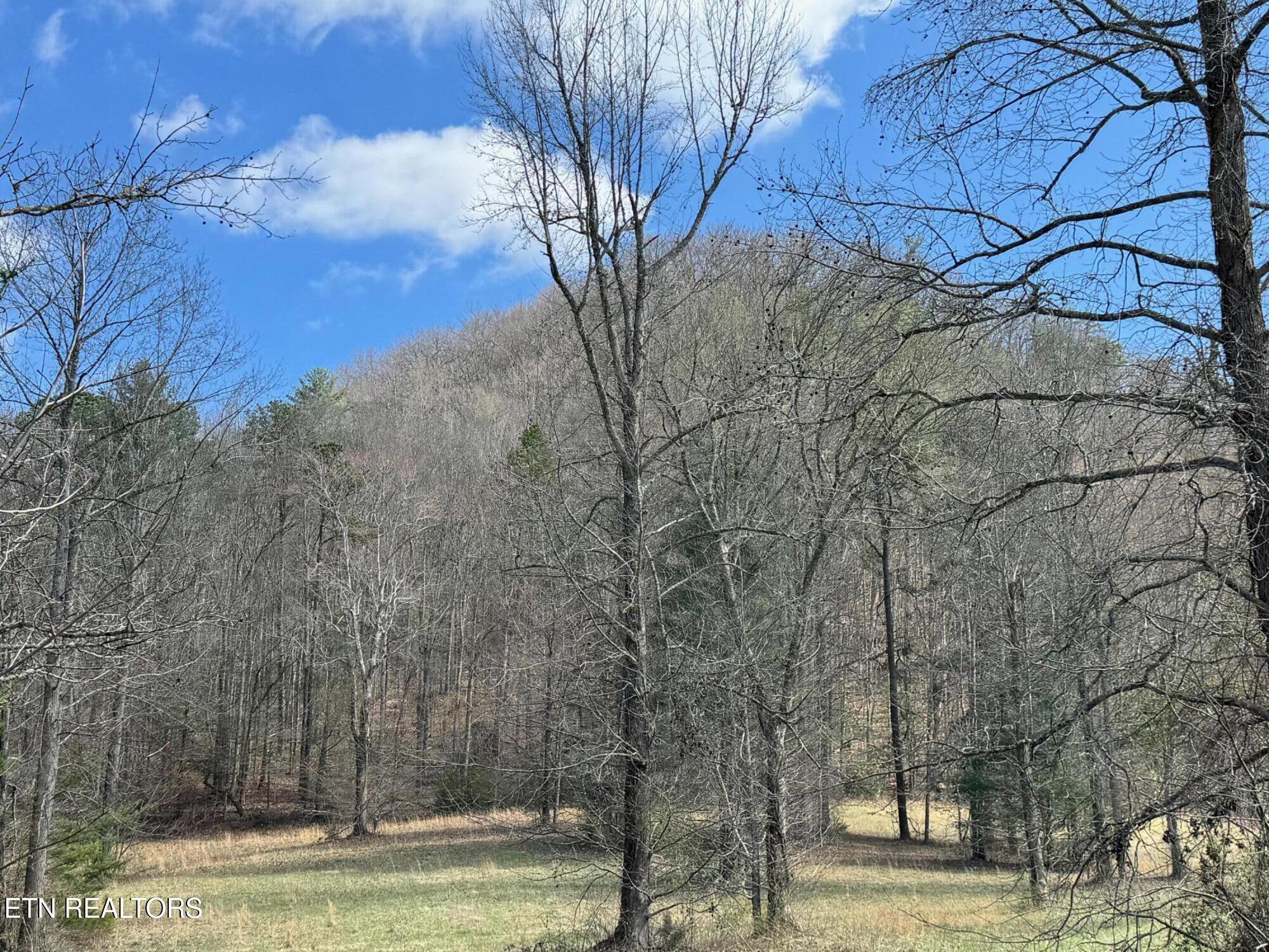 Round Mountain Del Rio, TN 37727 - Photo 18 of 18 IMG_4265 (1)