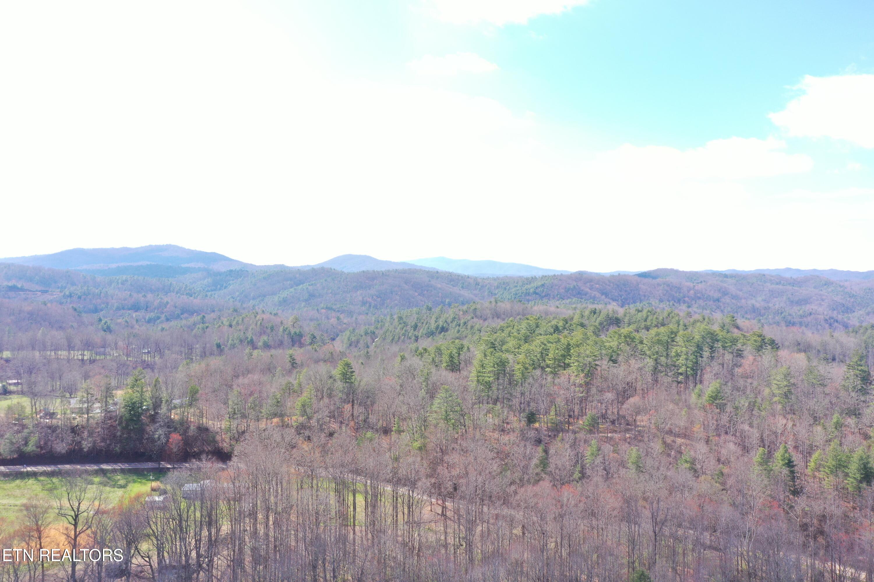 Round Mountain Del Rio, TN 37727 - Photo 2 of 18 DJI_0235
