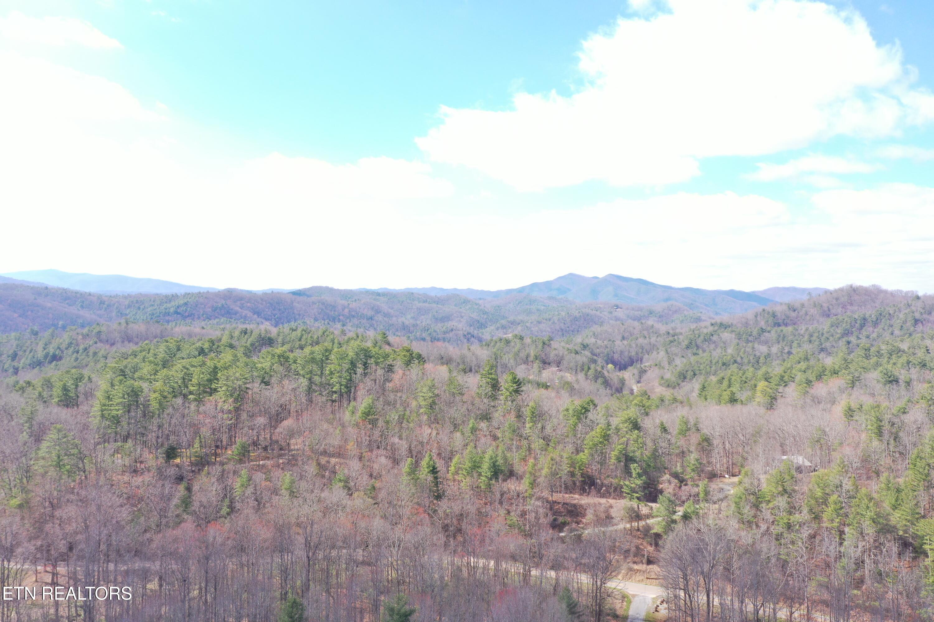 Round Mountain Del Rio, TN 37727 - Photo 3 of 18 DJI_0236
