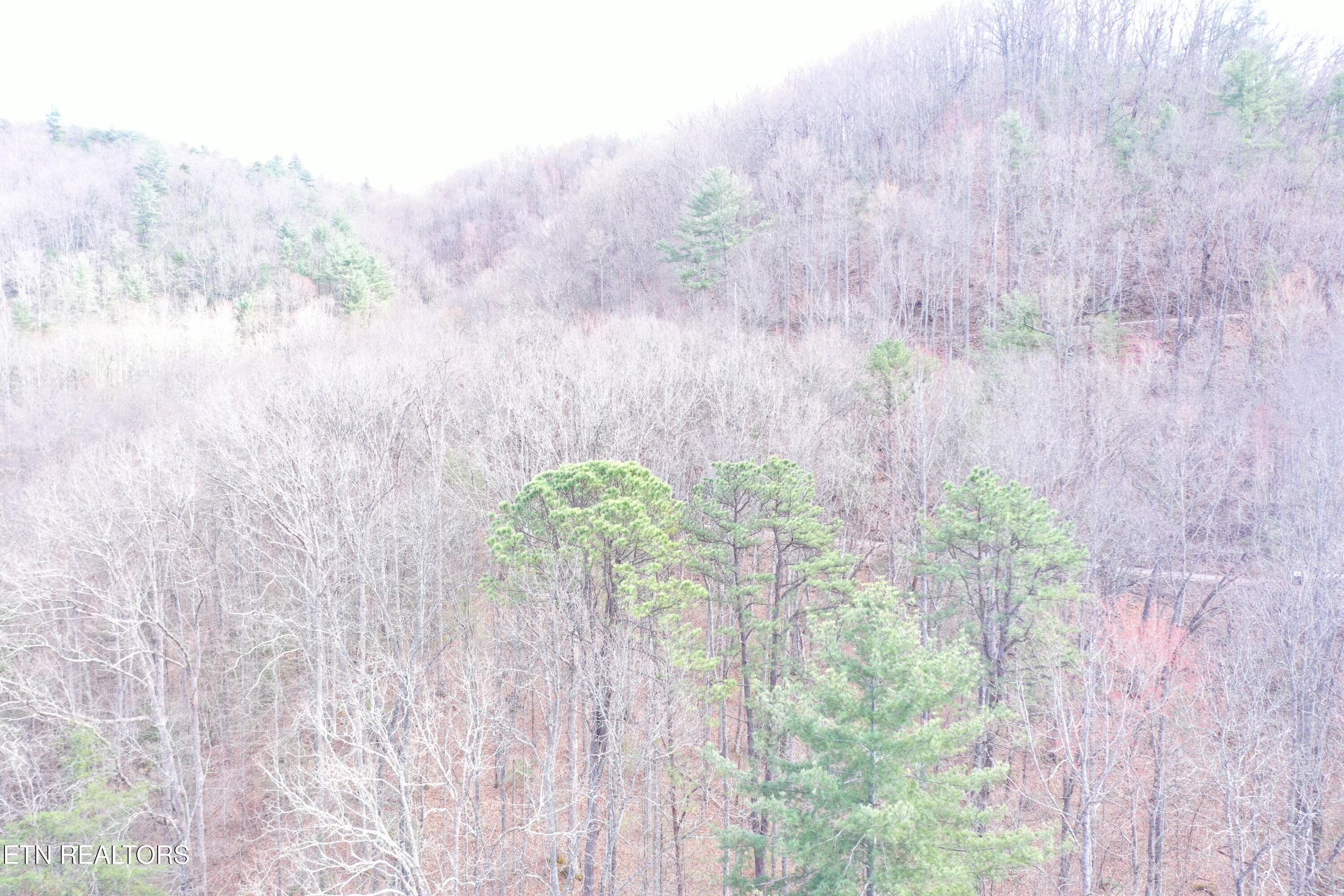 Round Mountain Del Rio, TN 37727 - Photo 4 of 18 DJI_0229