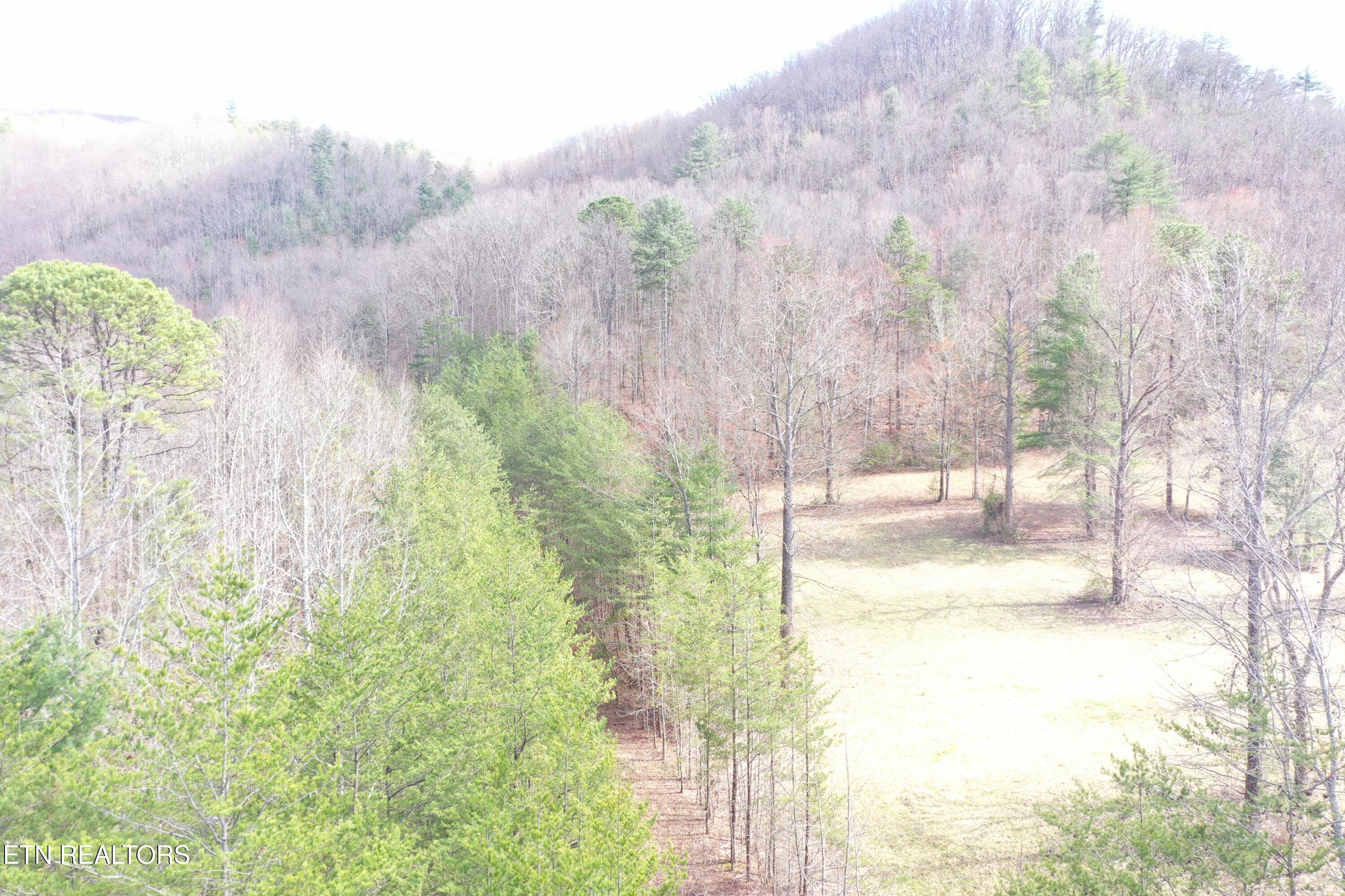 Round Mountain Del Rio, TN 37727 - Photo 5 of 18 DJI_0226