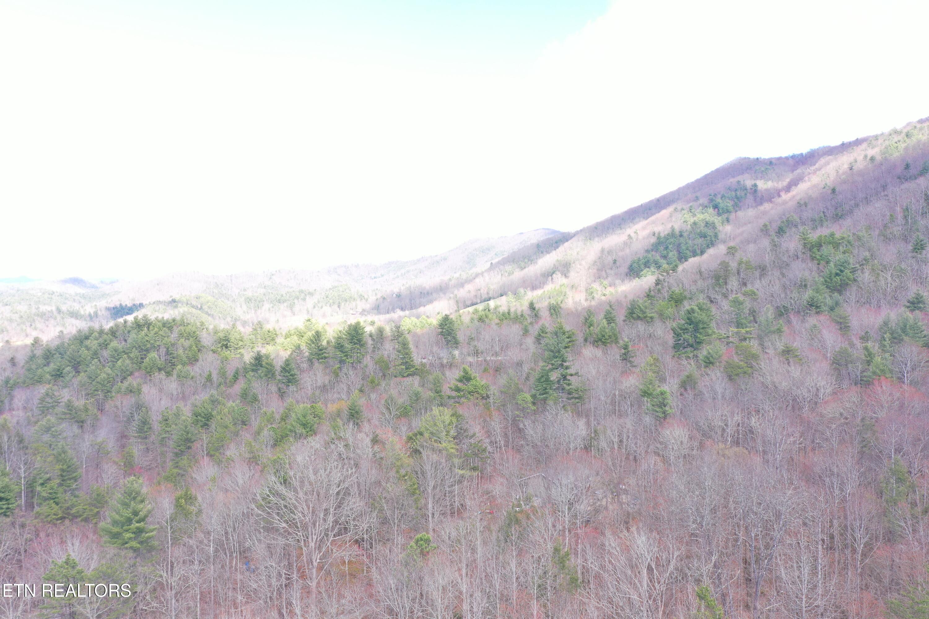 Round Mountain Del Rio, TN 37727 - Photo 6 of 18 DJI_0227