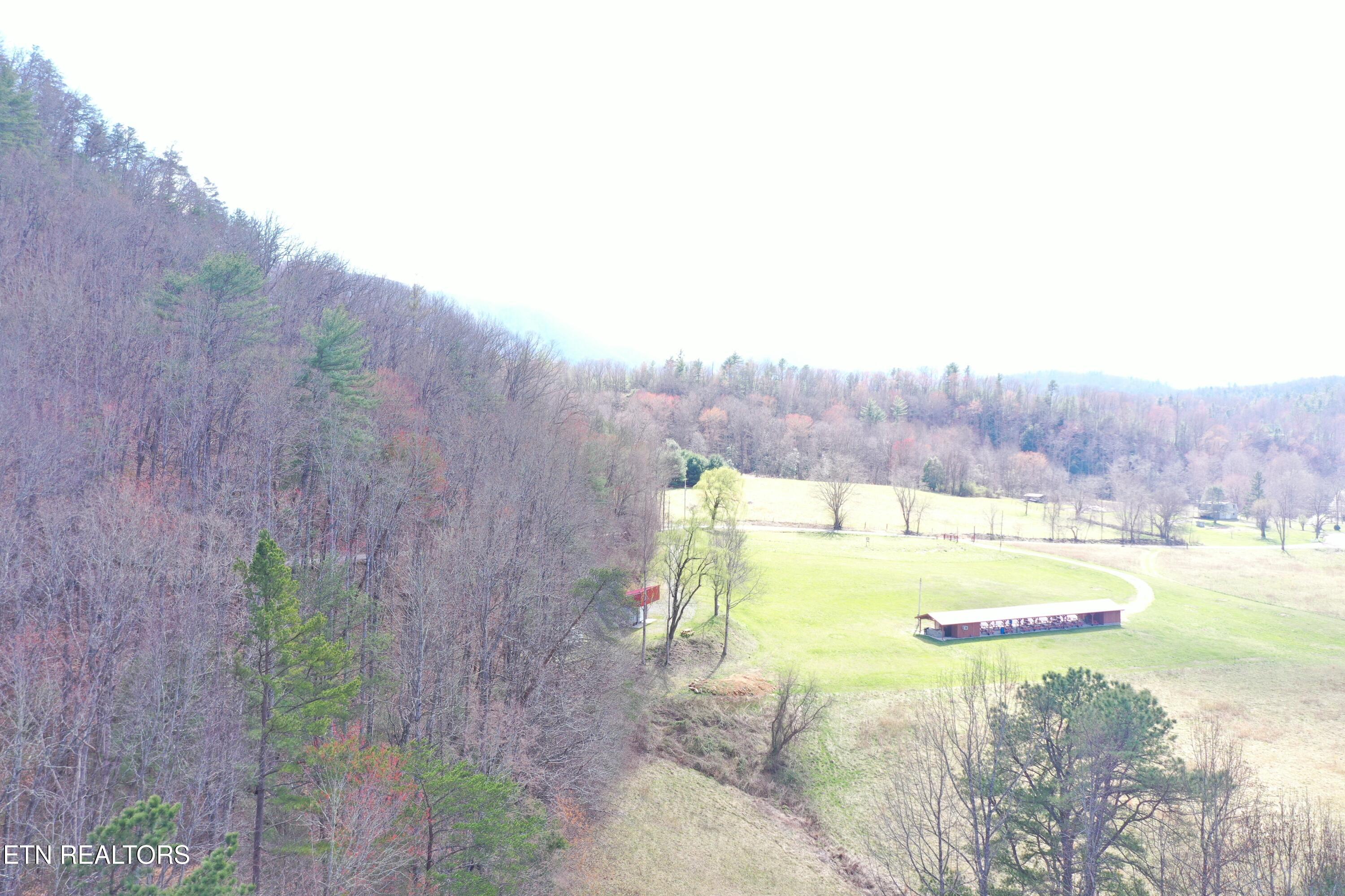 Round Mountain Del Rio, TN 37727 - Photo 8 of 18 DJI_0230