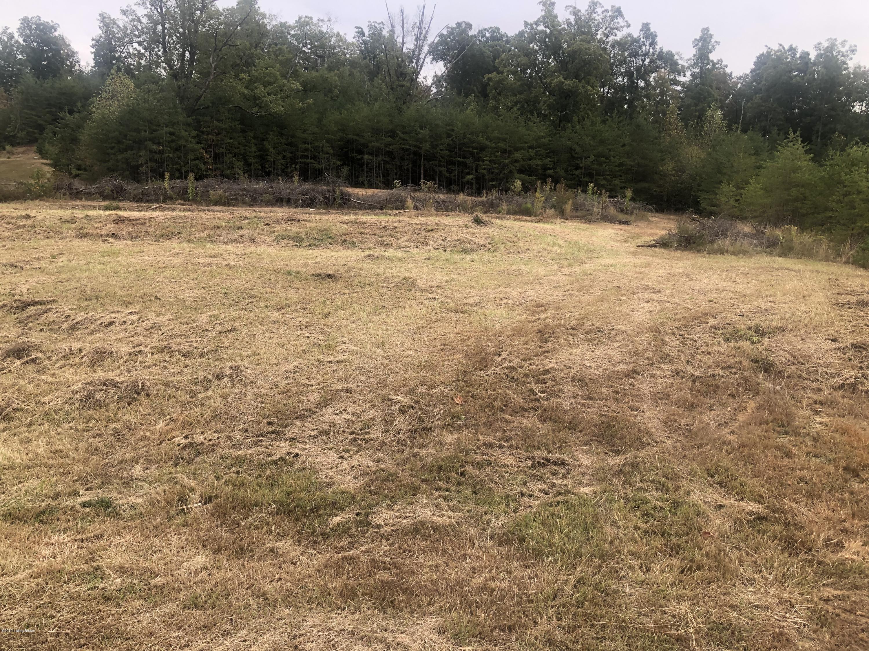 0 Wilson Run Road, Unit 35 Lebanon Junction, KY 40150 - Photo 5 of 29 IMG_4239