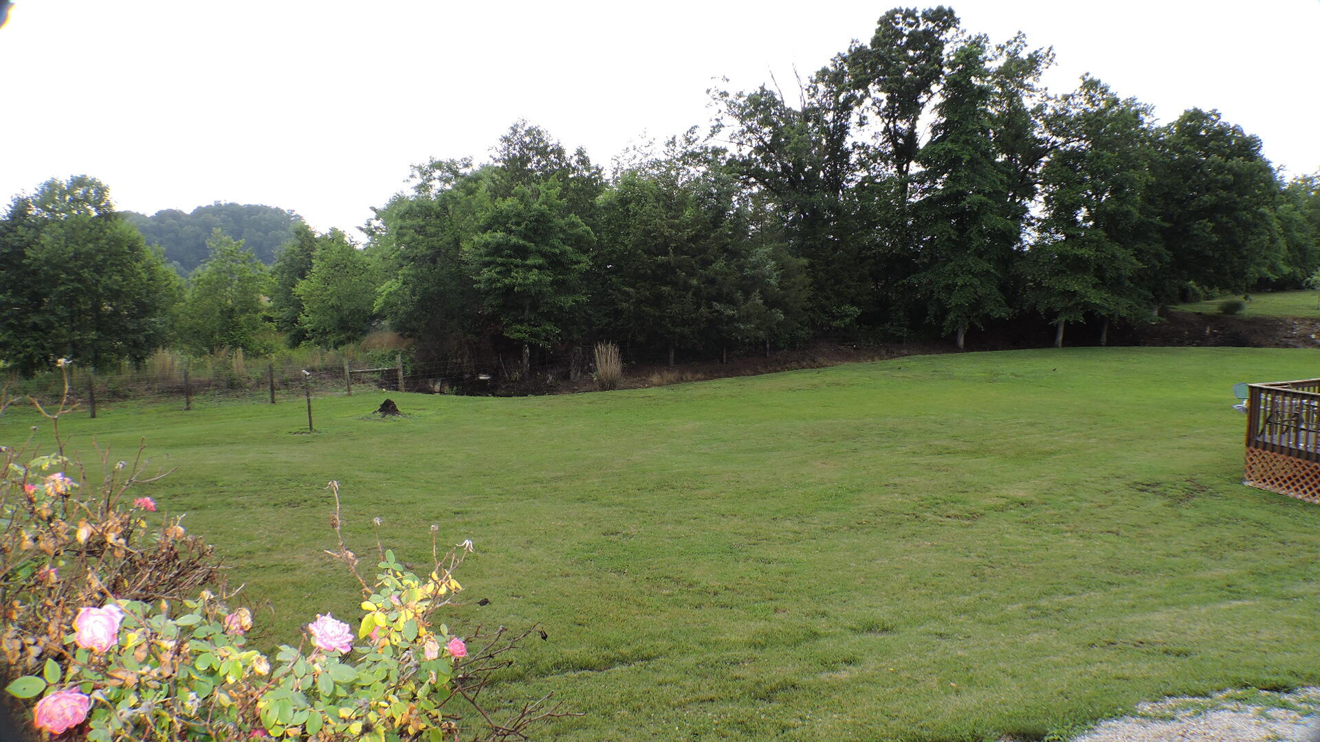 6845 Levee Road Jeffersonville, KY 40337 - Photo 34 of 37 DSCN9056