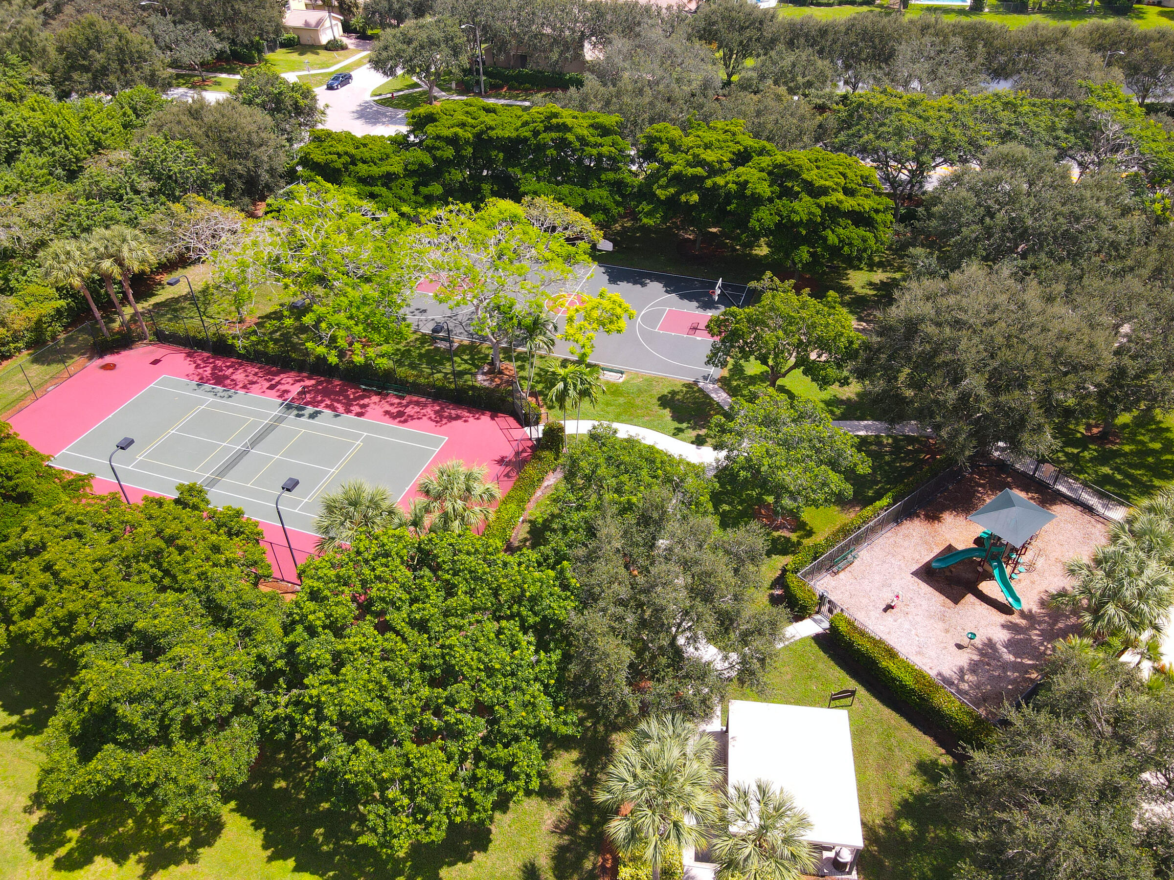 10208 White Water Lily Way Boynton Beach, FL 33437 - Photo 38 of 38 a picture of flowers