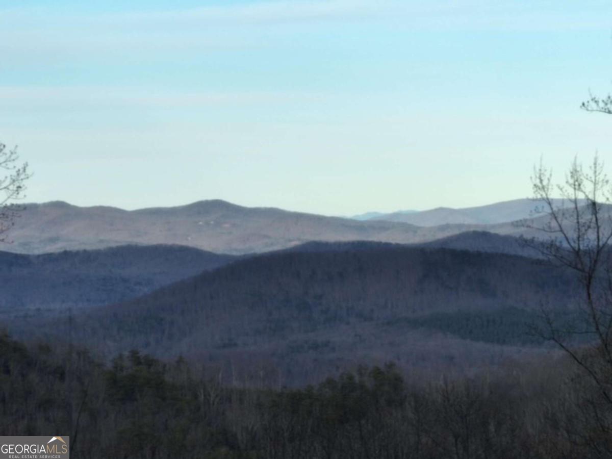 280 Andes Ridge Talking Rock, GA 30175 - Photo 20 of 45