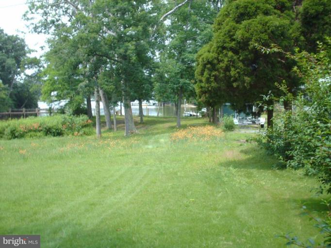24398 Half Pone Point Road Hollywood, MD 20636 - Photo 7 of 29 Back yard