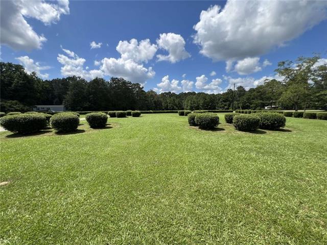 83162 Hay Hollow Road Folsom, LA 70437 - Photo 5 of 29 Gallery Image 5