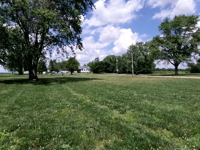 a view of a field with trees in the background