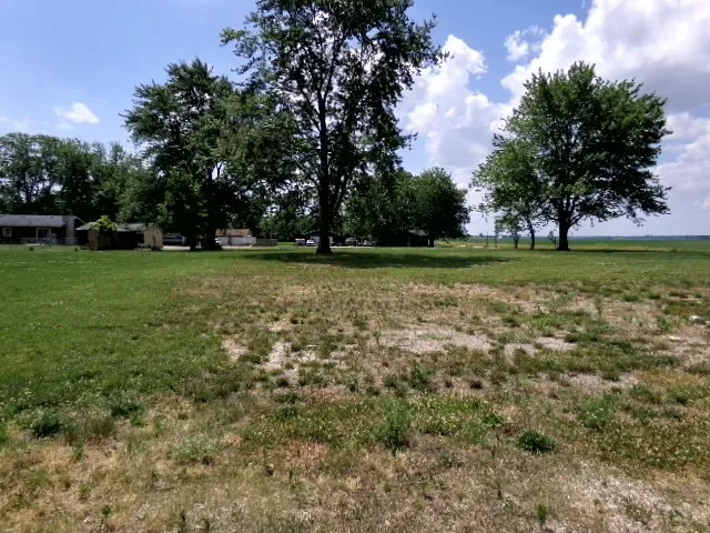 a view of a field with trees in the background