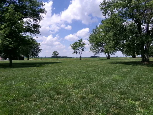 a view of a tree in front of a big yard