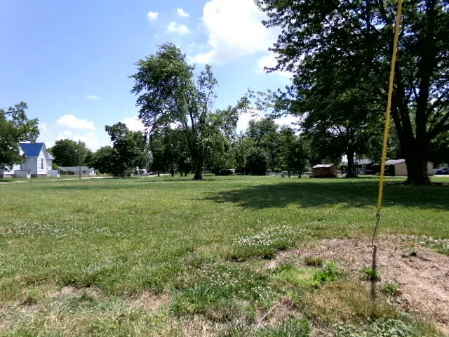 a view of a park with large trees