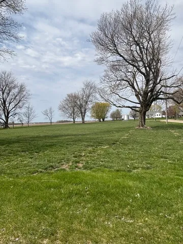 a view of a field with tree s