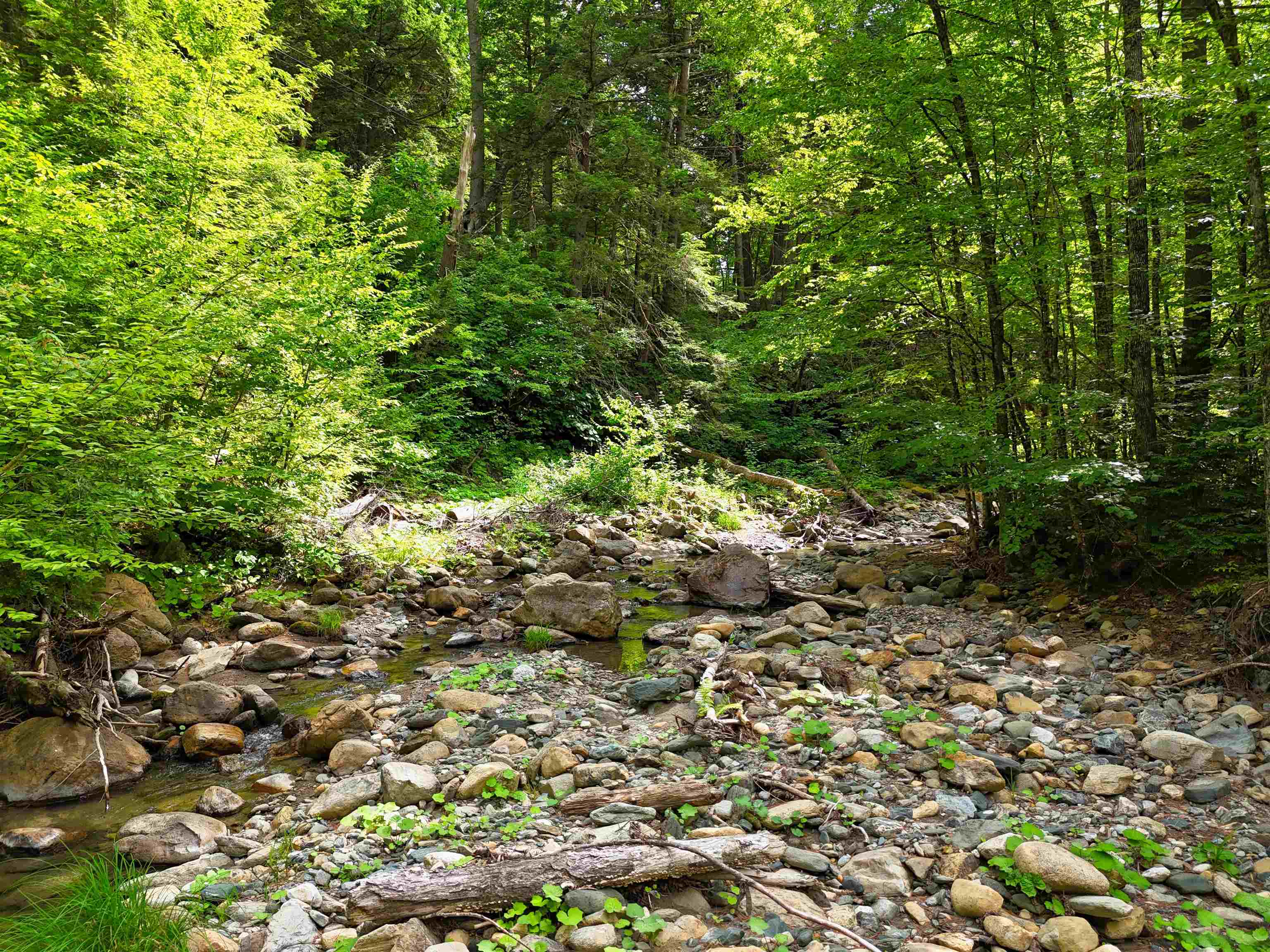 0 Hunter Brook Road South Newfane, VT 05351 - Photo 8 of 16
