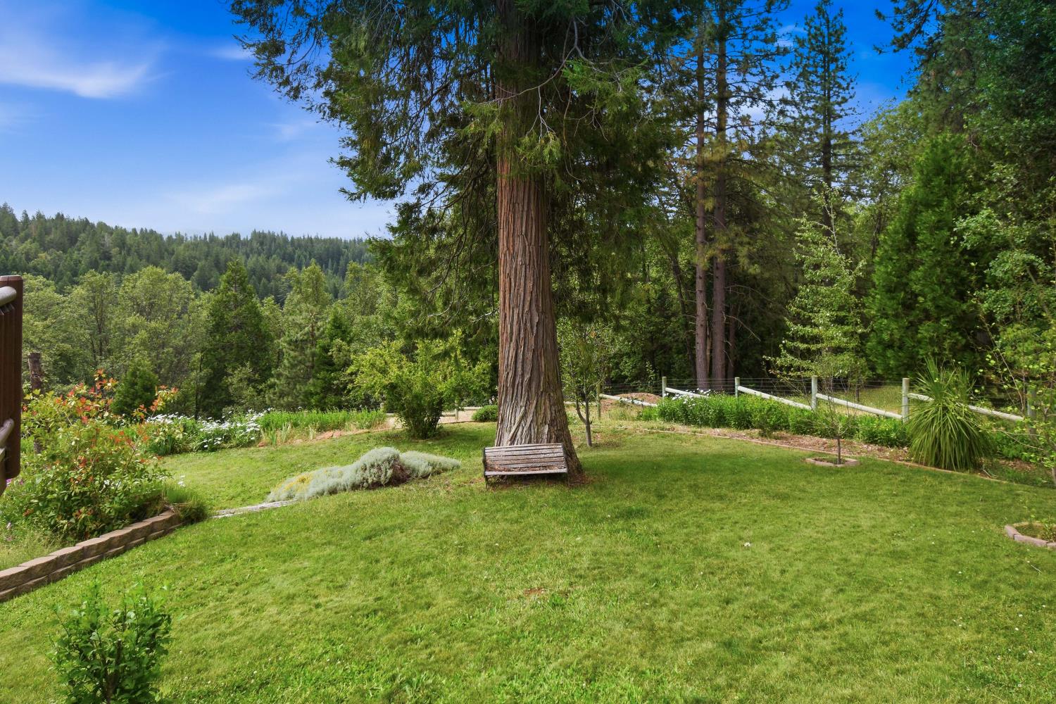 29070 Ridge View Road Foresthill, CA 95631 - Photo 36 of 66