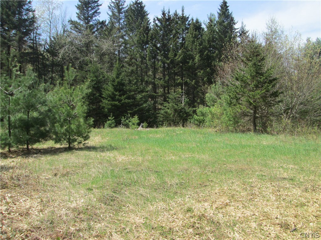 0 River Road Edwards, NY 13635 - Photo 1 of 1 Gallery Image 1