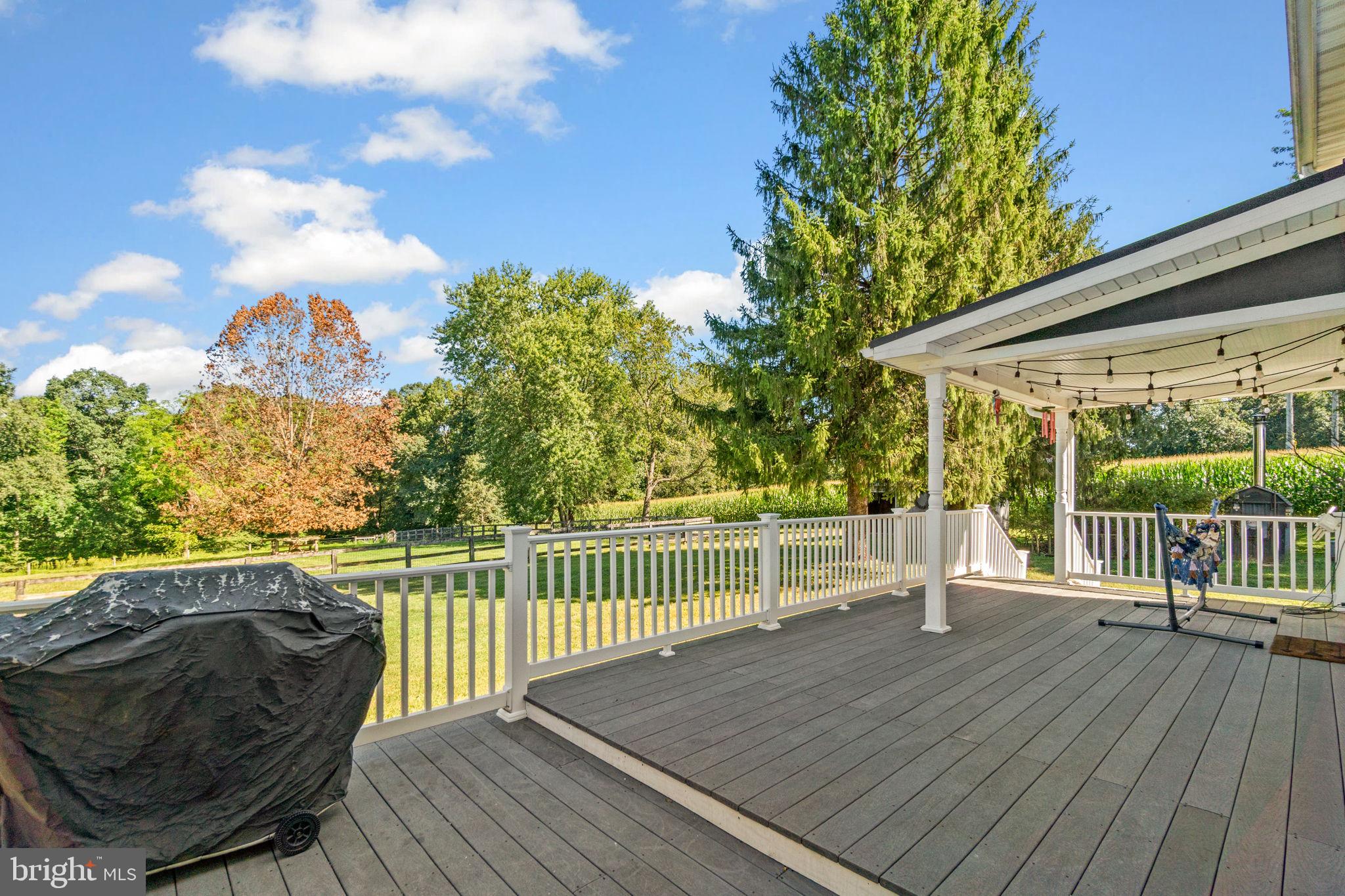 10140 Lenhart Road Frederick, MD 21701 - Photo 2 of 47