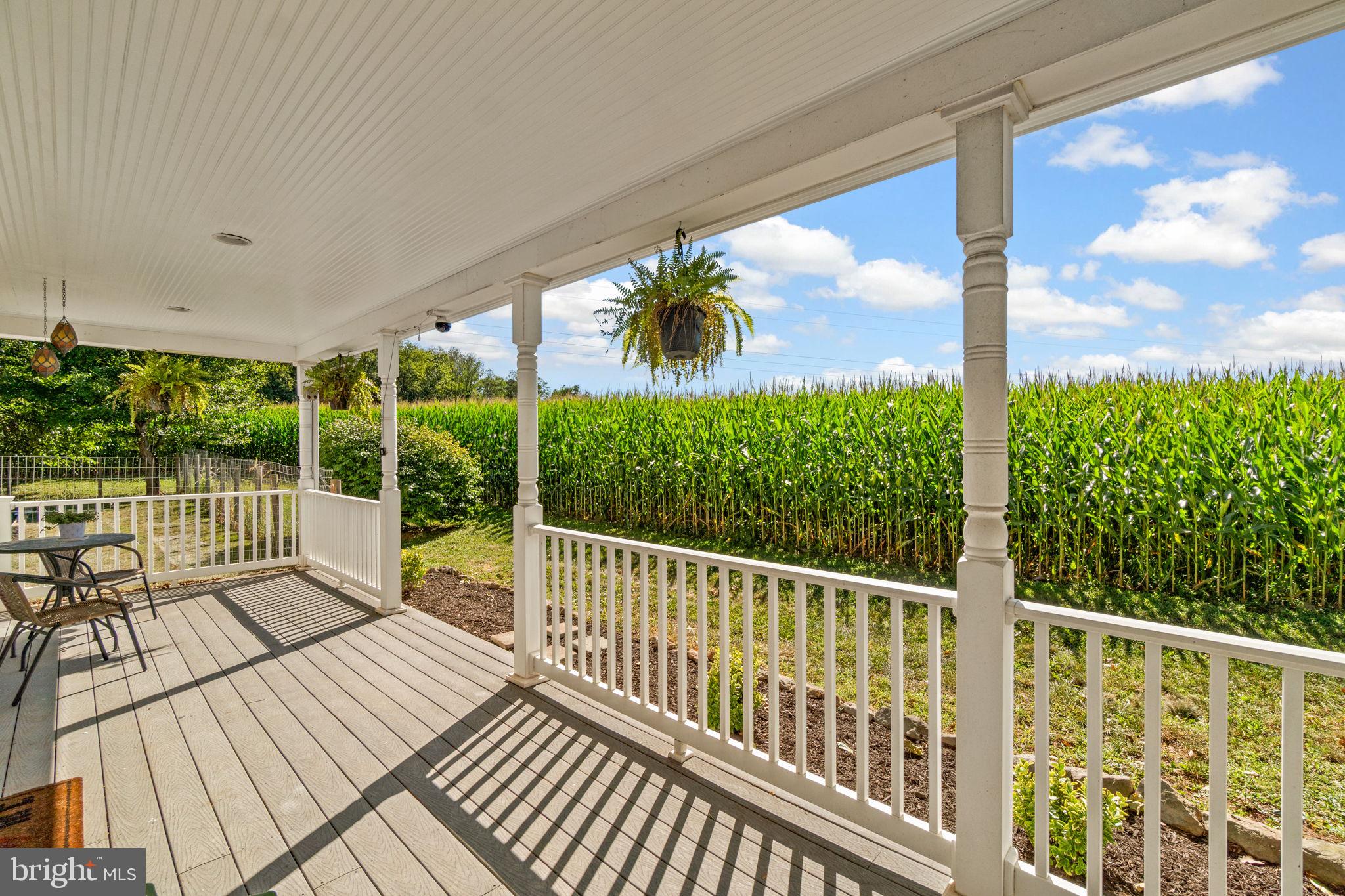 10140 Lenhart Road Frederick, MD 21701 - Photo 3 of 47