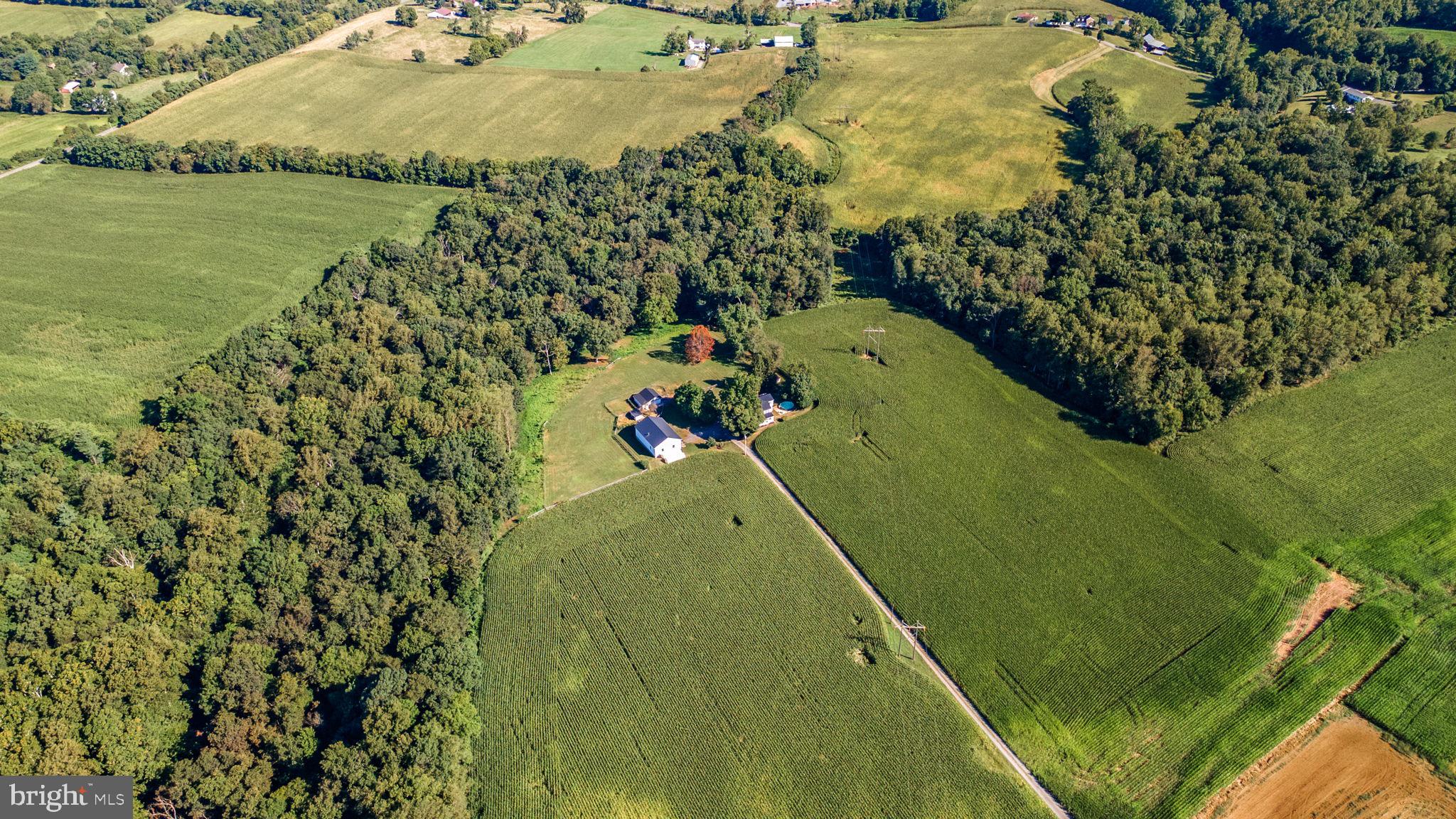 10140 Lenhart Road Frederick, MD 21701 - Photo 46 of 47