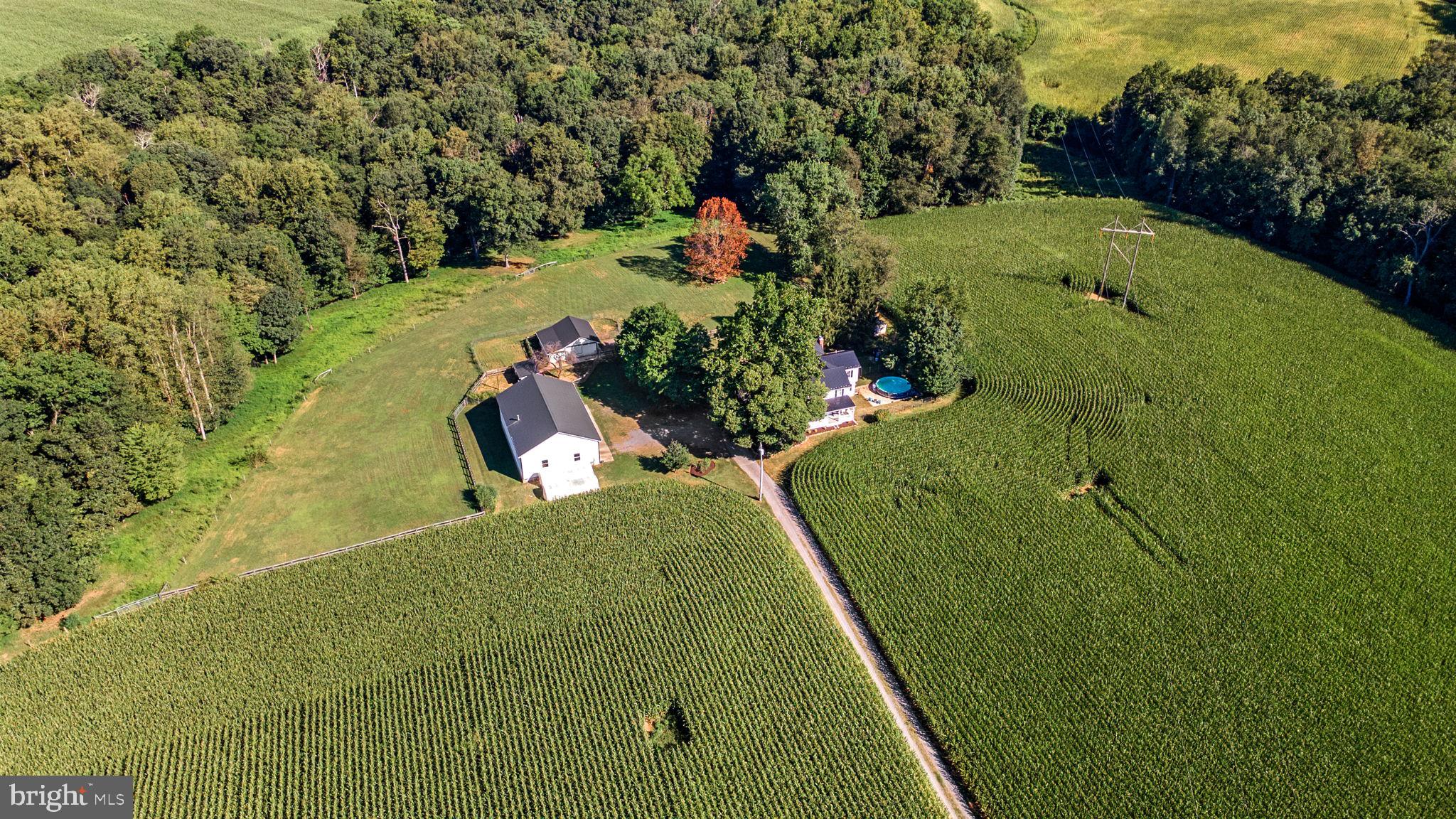 10140 Lenhart Road Frederick, MD 21701 - Photo 47 of 47