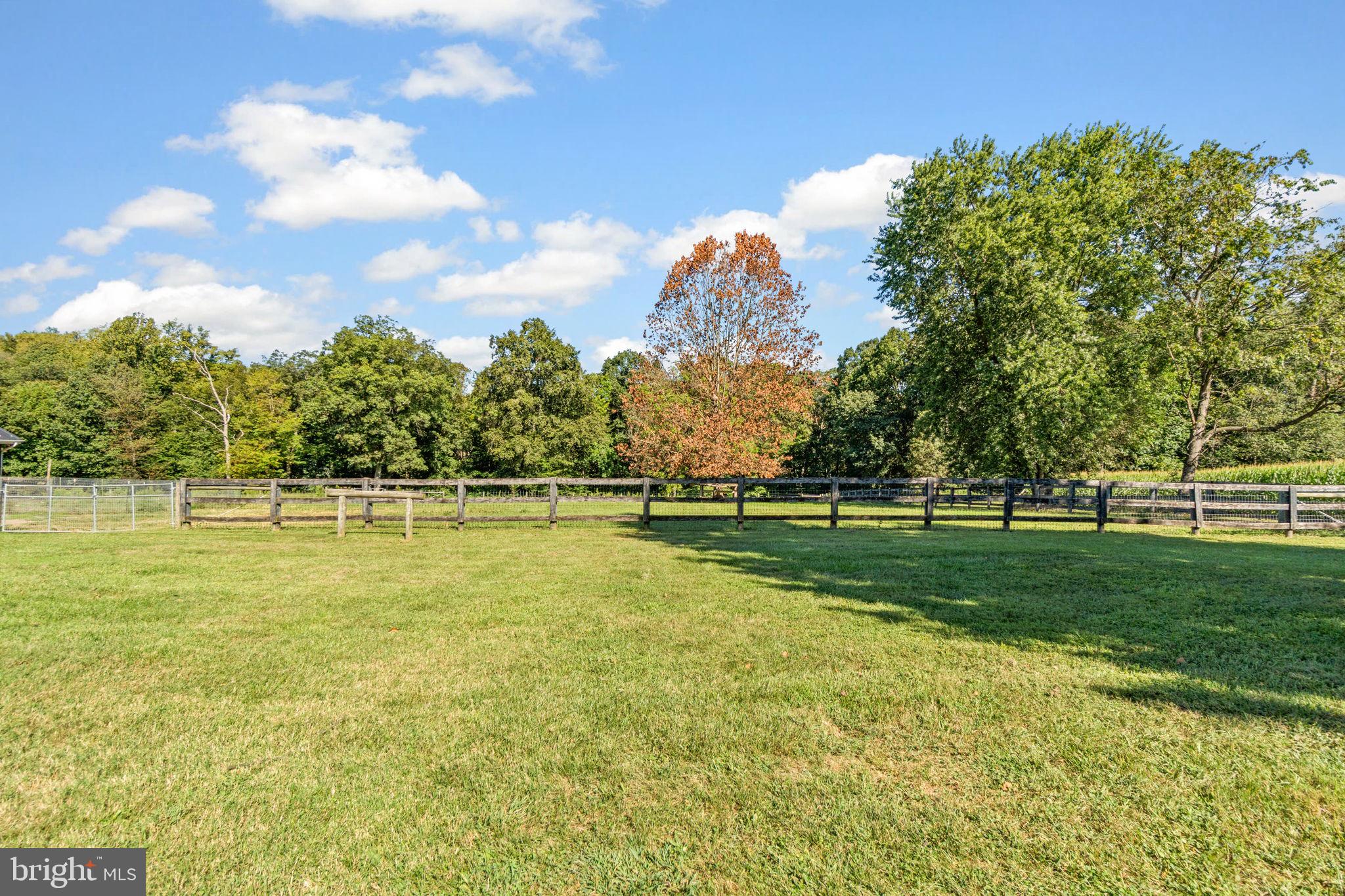 10140 Lenhart Road Frederick, MD 21701 - Photo 6 of 47