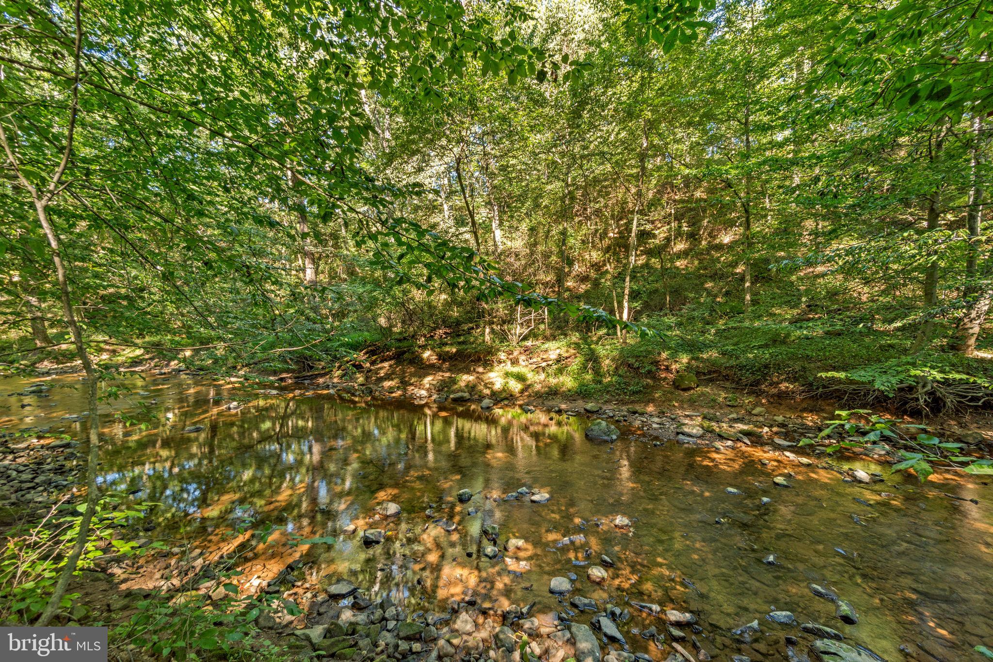 10140 Lenhart Road Frederick, MD 21701 - Photo 10 of 47