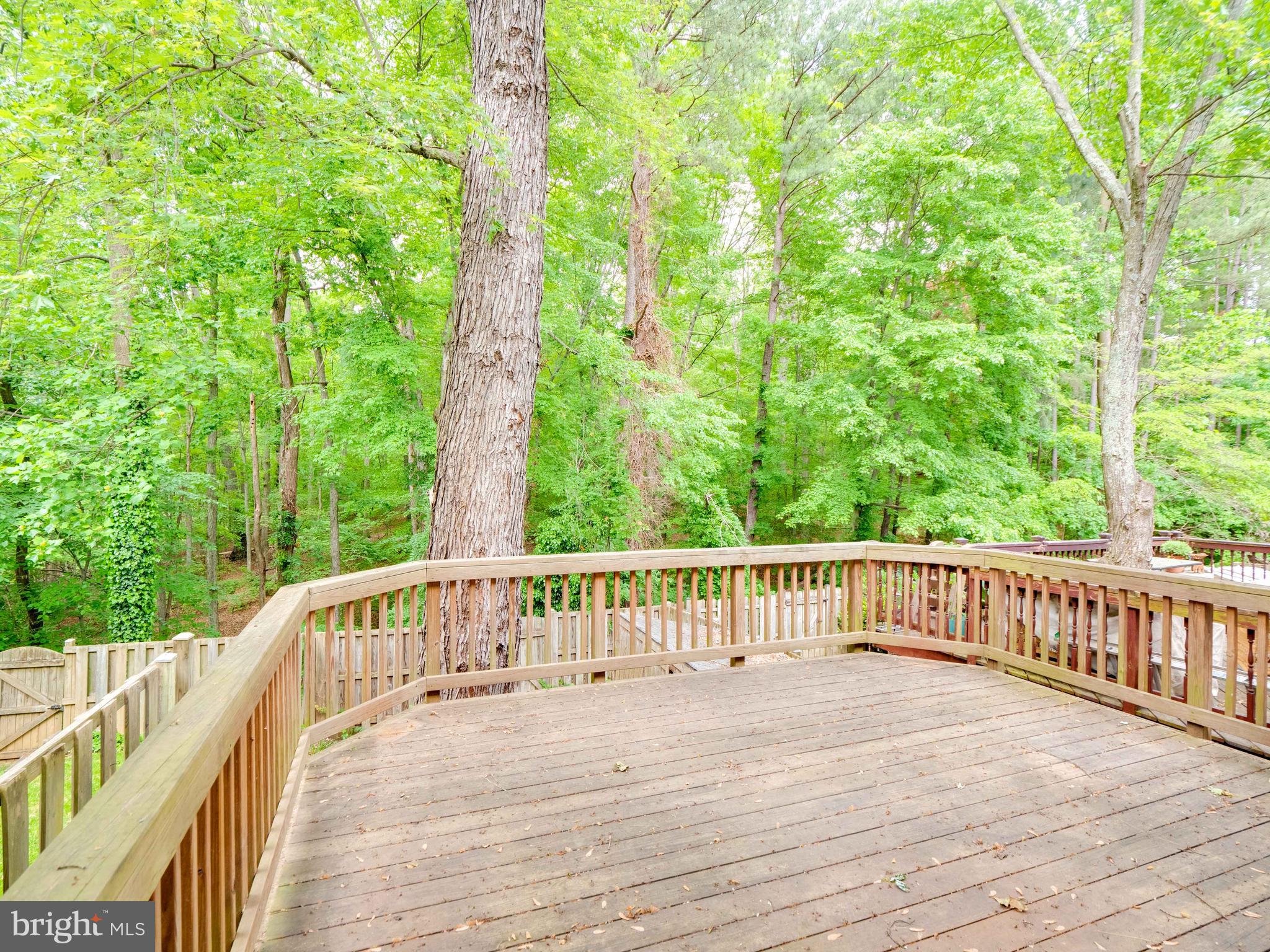 8352 Luce Court Springfield, VA 22153 - Photo 2 of 48 Private/Spacious deck backing to trees!