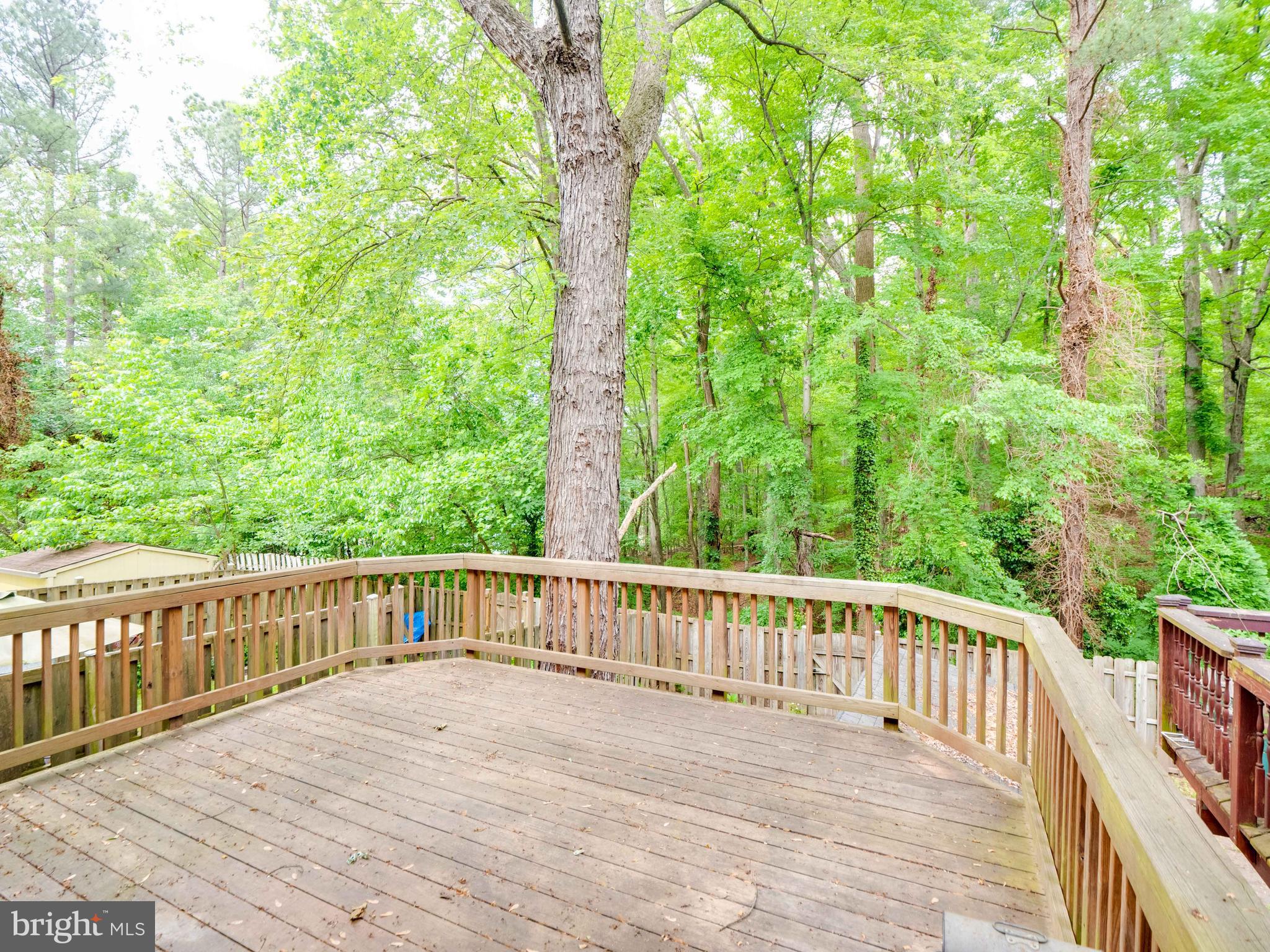 8352 Luce Court Springfield, VA 22153 - Photo 40 of 48 Large Wood Deck