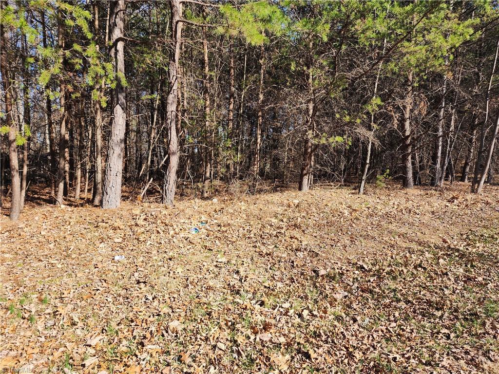 0 Golf Course Road Pilot Mountain, NC 27041 - Photo 12 of 18 Several build sites