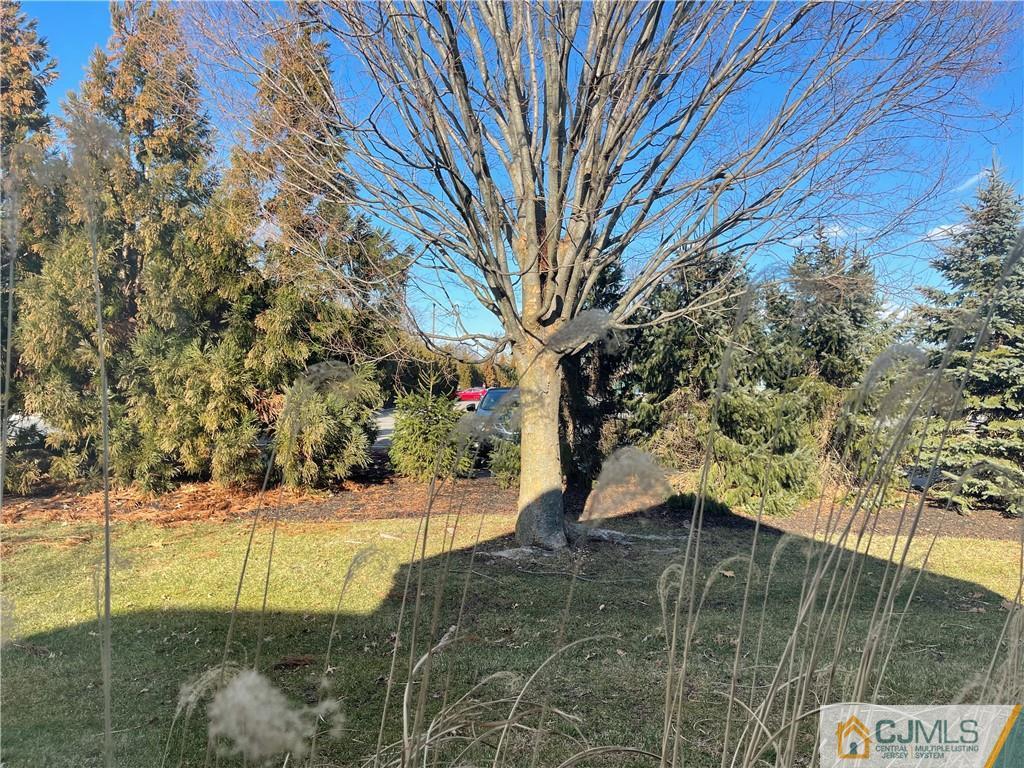 656 Nutley Drive, Unit A Monroe Township, NJ 08831 - Photo 25 of 25 a view of swimming pool with a yard