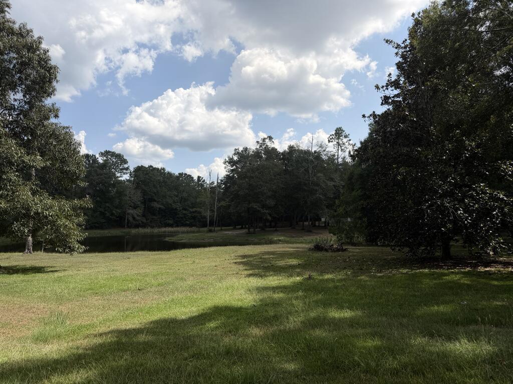 455 Spur Line Road Ellisville, MS 39437 - Photo 5 of 11 Gallery Image 5
