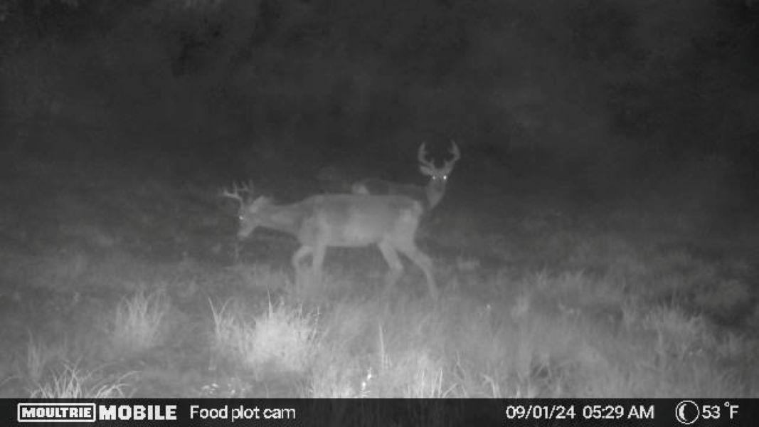 0 Cth H Gleason, WI 54435 - Photo 24 of 27 Gallery Image 24