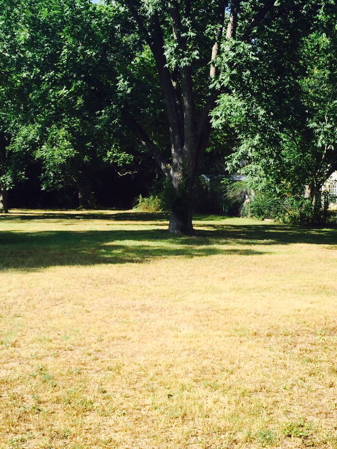 3919 Nisbet Road Macon, GA 31206 - Photo 3 of 10 Additional Photo