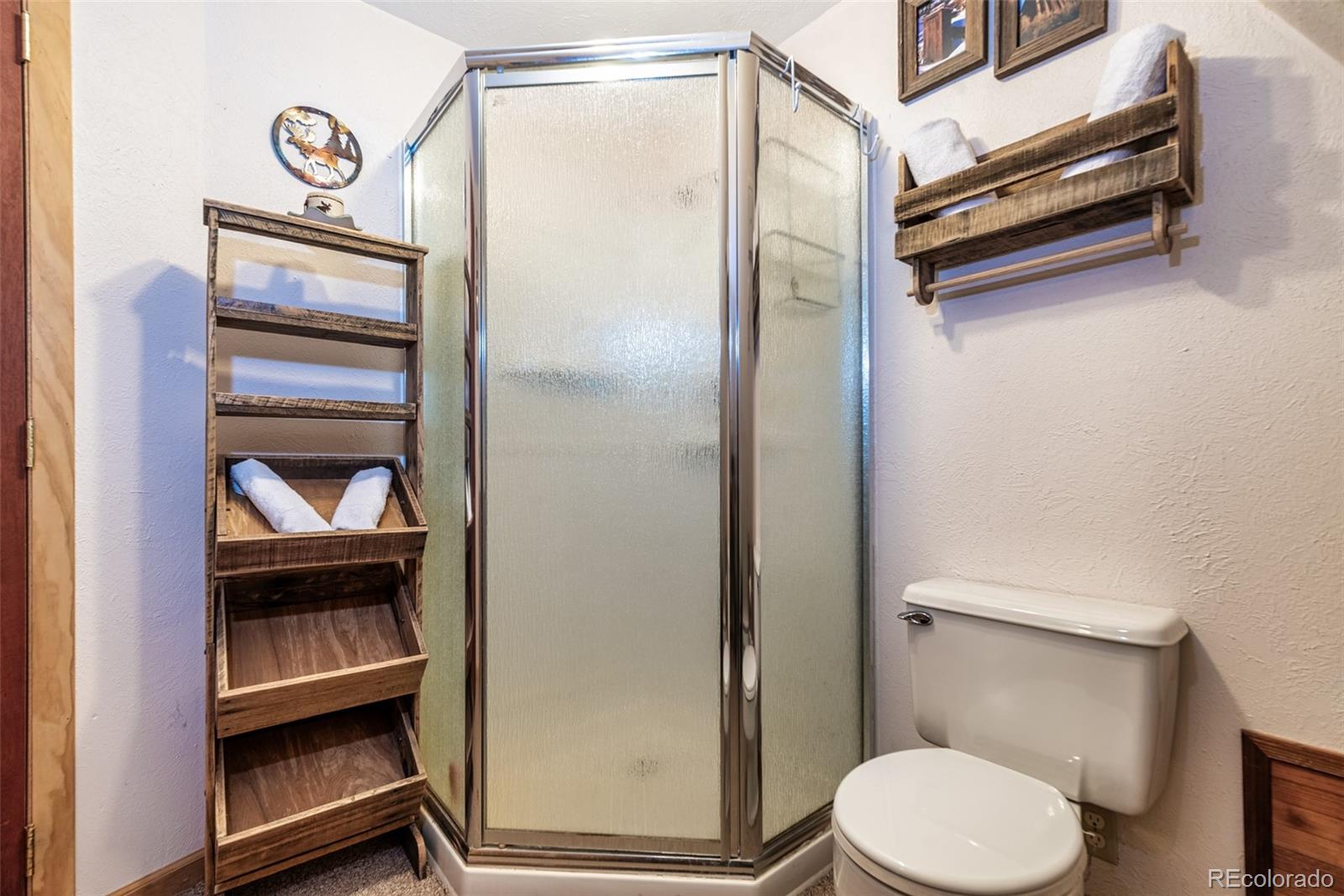 340 Wampum Lane Como, CO 80456 - Photo 11 of 35 a bathroom with a toilet and a shower