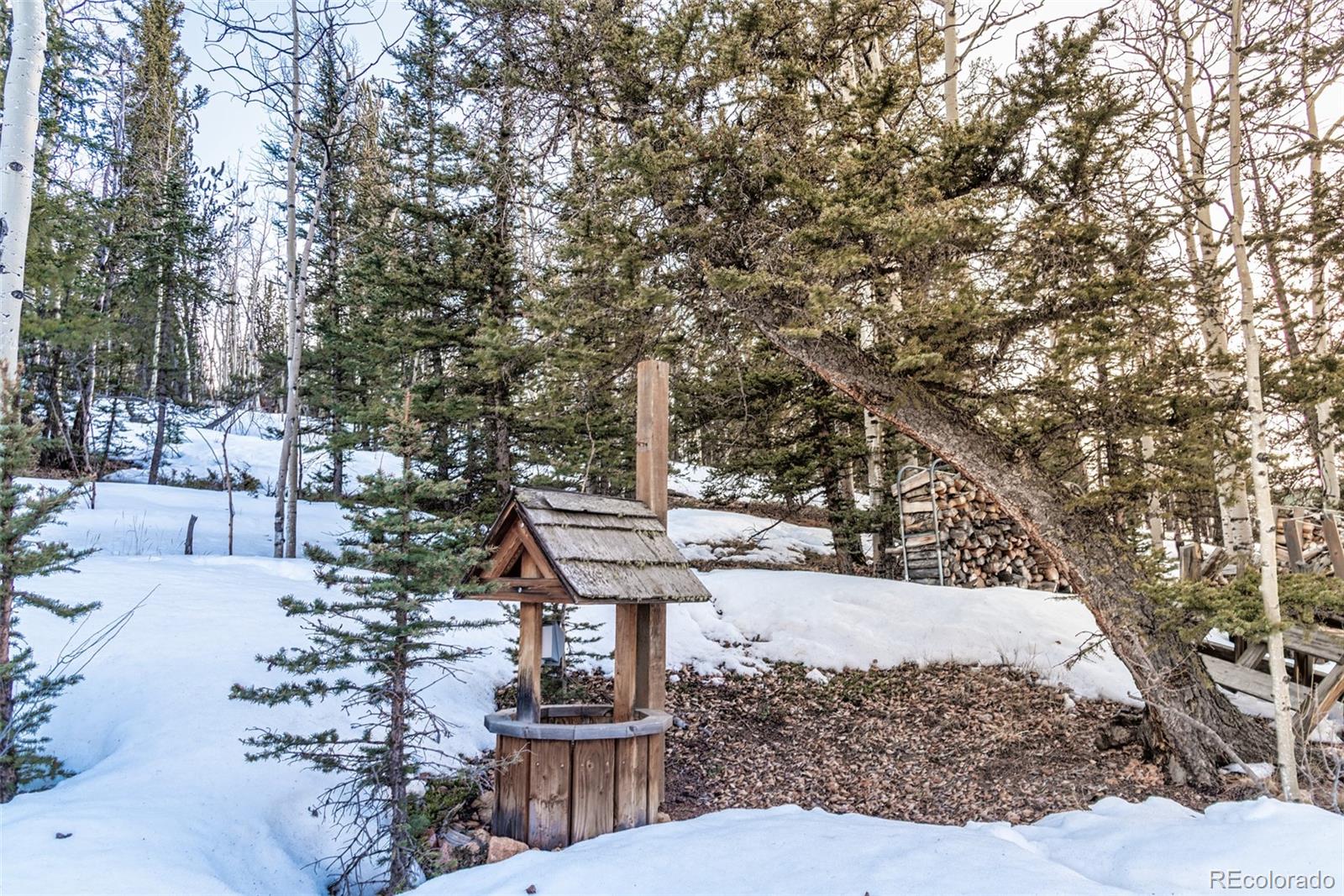340 Wampum Lane Como, CO 80456 - Photo 26 of 35 a view of a yard with plants