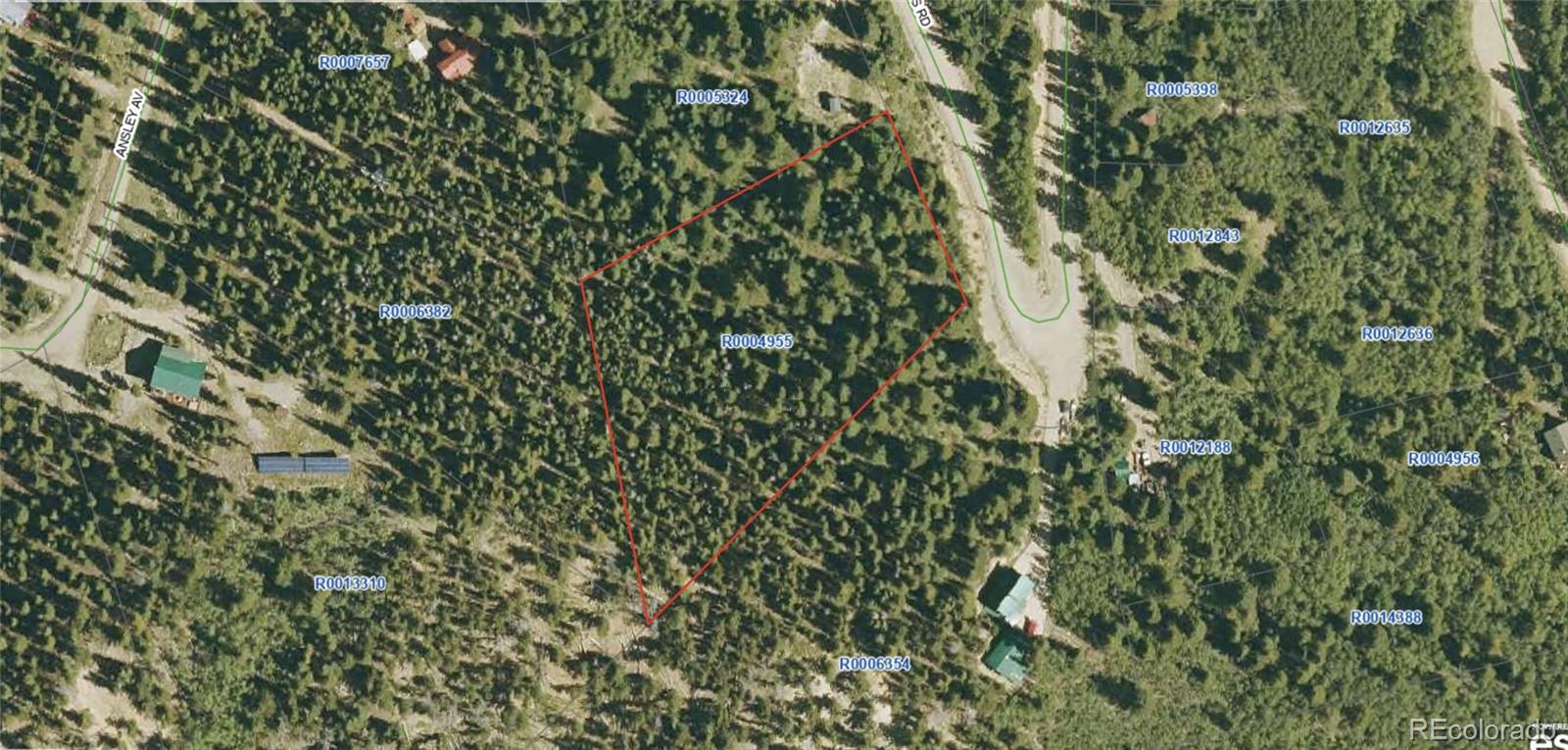 340 Wampum Lane Como, CO 80456 - Photo 35 of 35 a close up of a plant