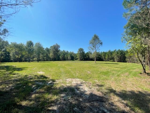 147 Oak Estates Way Ridgeville, SC 29472 - Photo 8 of 14 IMG_2273