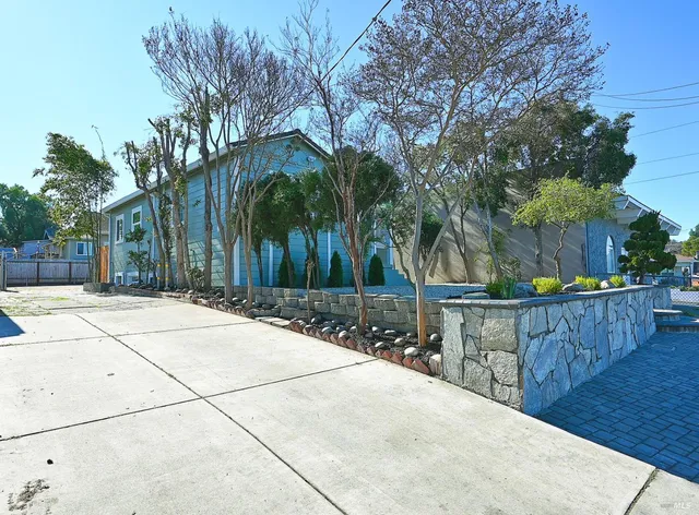 a view of backyard and tree