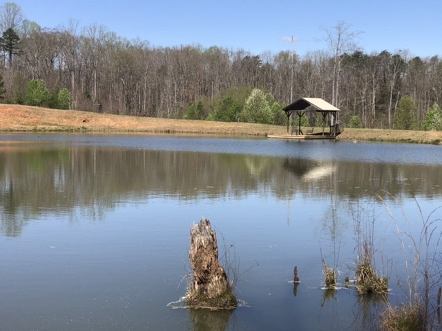 121 Old River Road Pelzer, SC 29669 - Photo 23 of 34