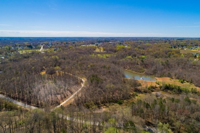 121 Old River Road Pelzer, SC 29669 - Photo 30 of 34