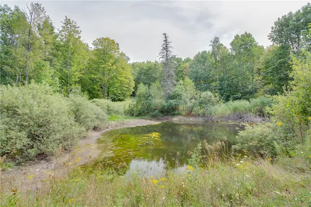 $439,500 | 186 Burdick Road, Hartwick, NY 13807