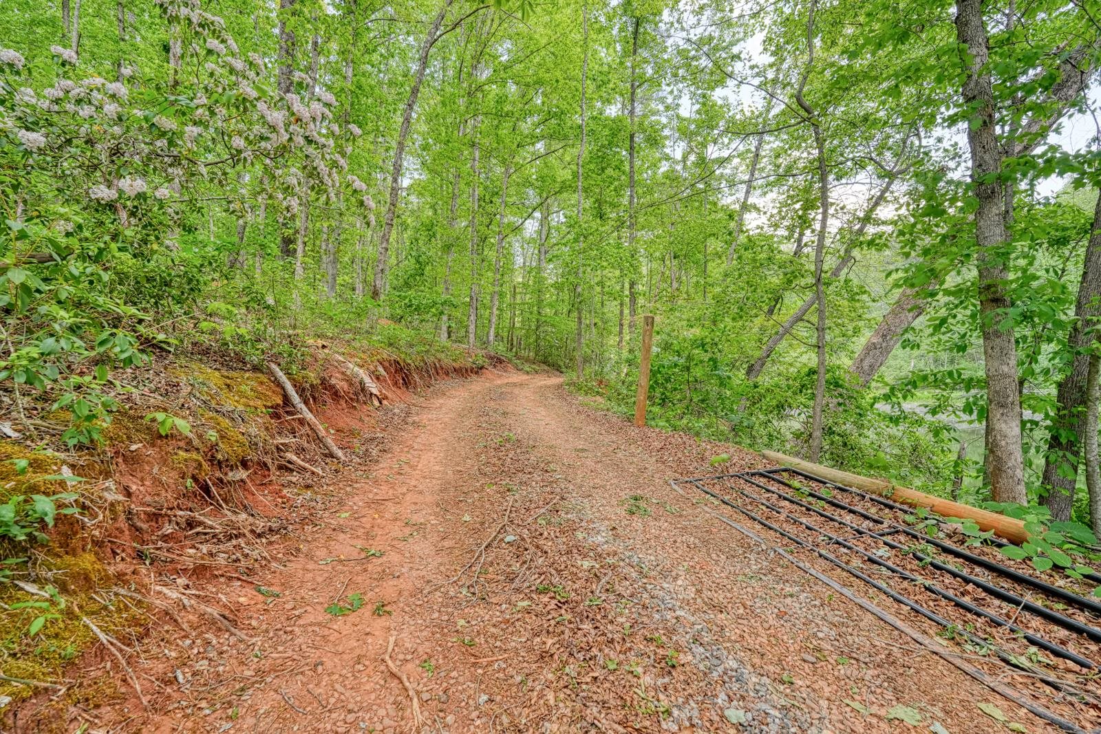 0 Motlow Creek Road Campobello, SC 29322 - Photo 1 of 12