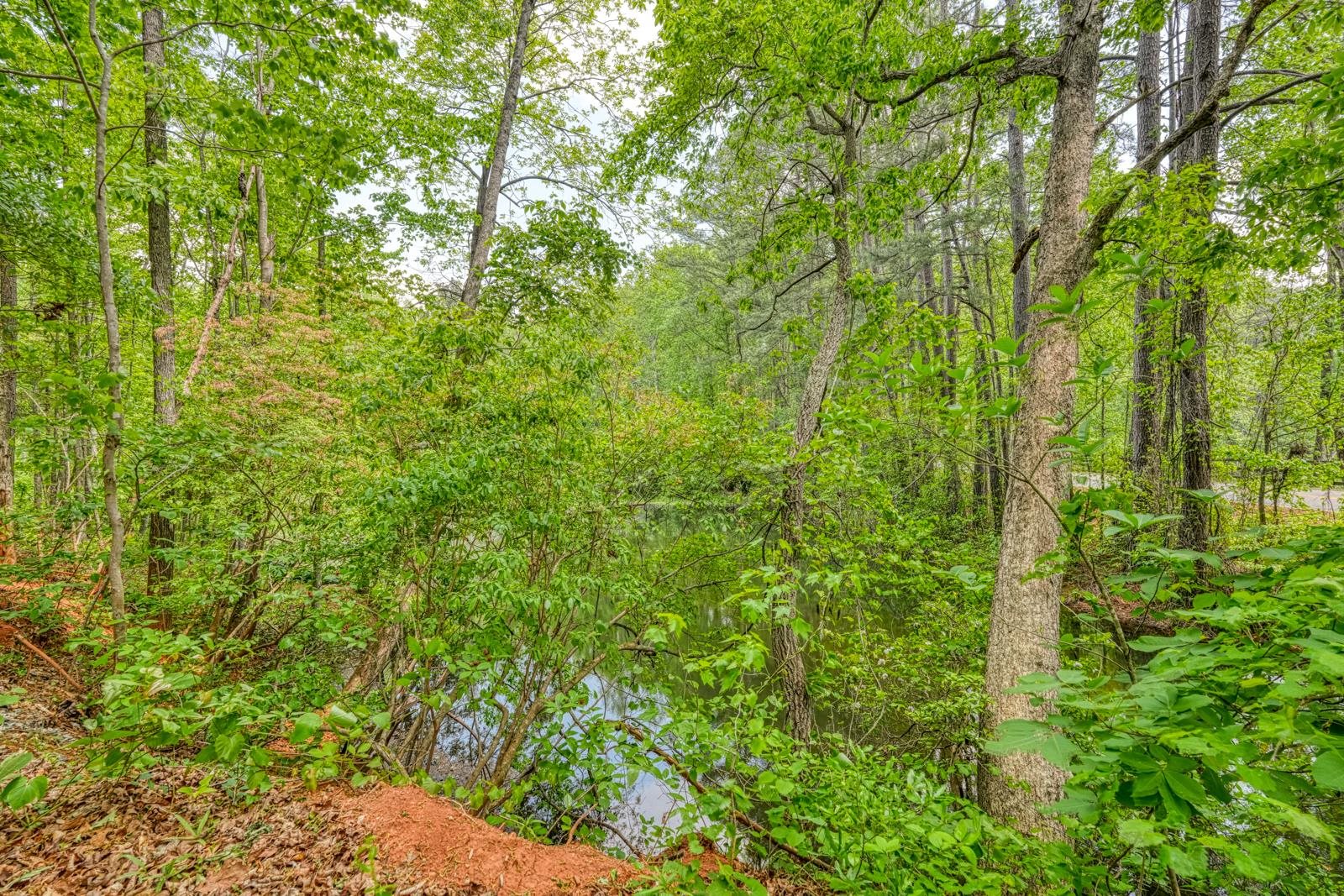 0 Motlow Creek Road Campobello, SC 29322 - Photo 2 of 12
