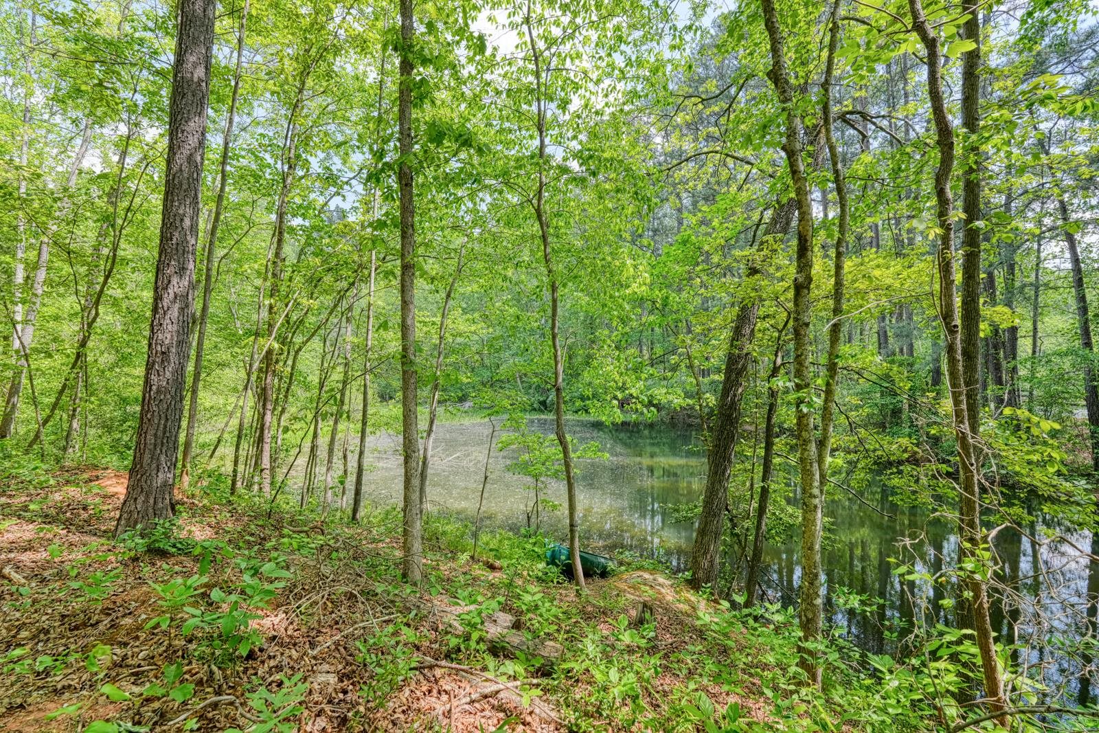 0 Motlow Creek Road Campobello, SC 29322 - Photo 3 of 12
